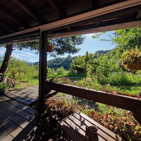 O Cantinho De Coura - A Cabana Paredes de Coura Eksteriør billede