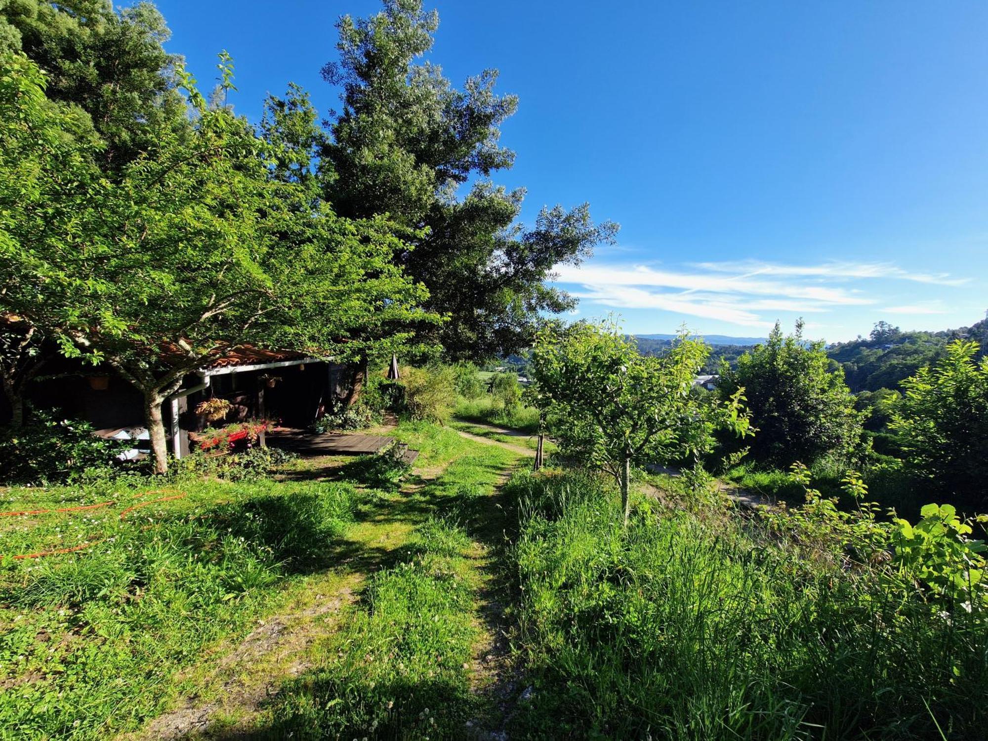 O Cantinho De Coura - A Cabana Paredes de Coura Eksteriør billede